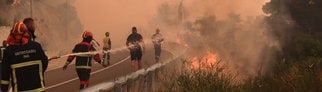 An der kroatischen Adria-Küste brennt der Wald. Viele Feuerwehrleute sind im Einsatz.