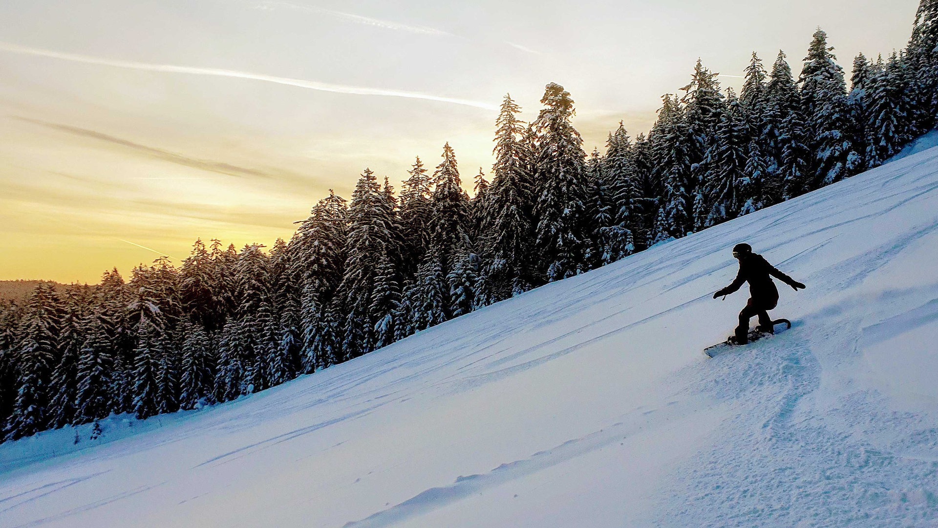 Foto: SWR3, Stefan Scheurer Traumbilder im Schnee: Snow-Diving in den Morgen. Das ist, warum wir Skifahren und Snowboarden lieben. (Foto: SWR3, Stefan Scheurer)