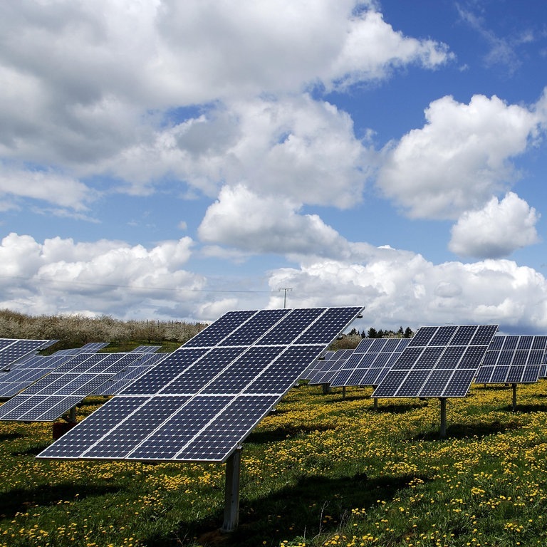 Photovoltaik-Anlage auf Wiese (Foto: SWR)