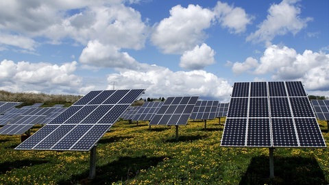 Eine größere Photovoltaikanlage auf einer blühenden Wiese (Foto: SWR)