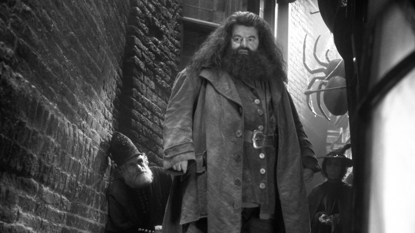 Foto: IMAGO, IMAGO / Cinema Publishers Collection Hagrid-Darsteller Robbie Coltrane aus Harry-Potter gestorben (Foto: IMAGO, IMAGO / Cinema Publishers Collection)