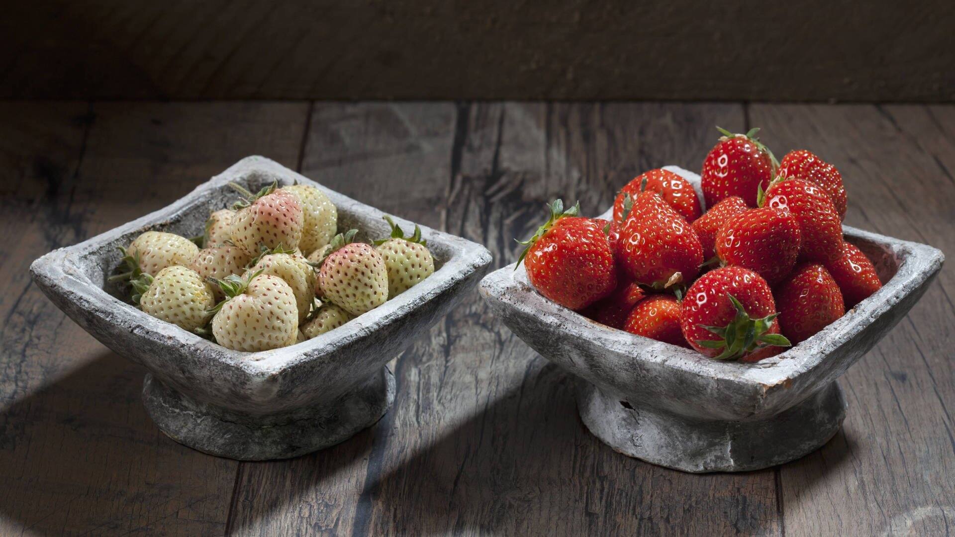 Erdbeeren in Schalen auf einem Holztisch. Links die weiße Ananas-Erdbeere, rechts die klassische rote Erdbeere. (Foto: picture-alliance / Reportdienste, picture alliance / Westend61 | Dieter Heinemann)