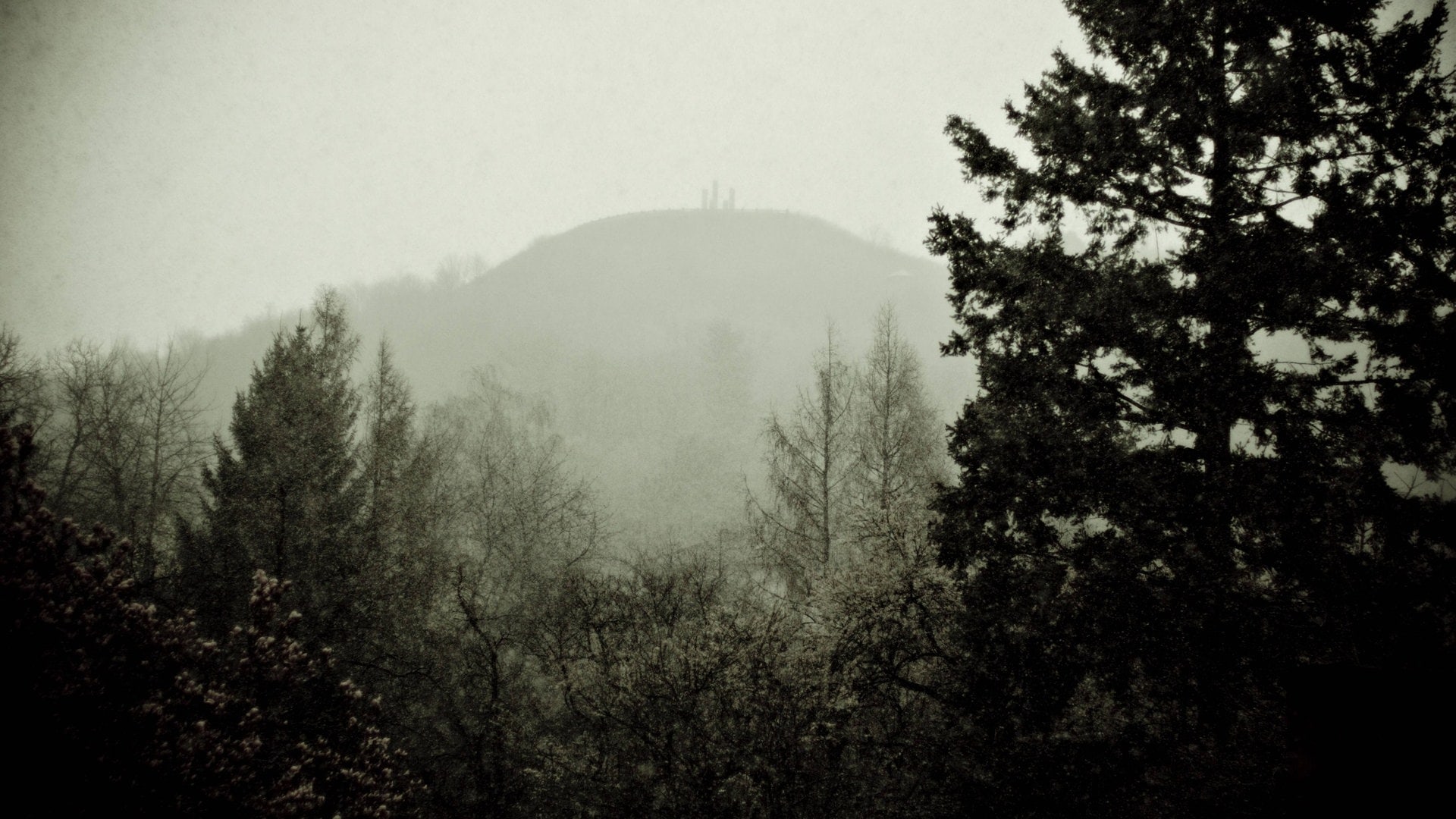 Foto: IMAGO, IMAGO / Westend61 Der Wallberg thront im Nebel über Pforzheim. (Foto: IMAGO, IMAGO / Westend61)