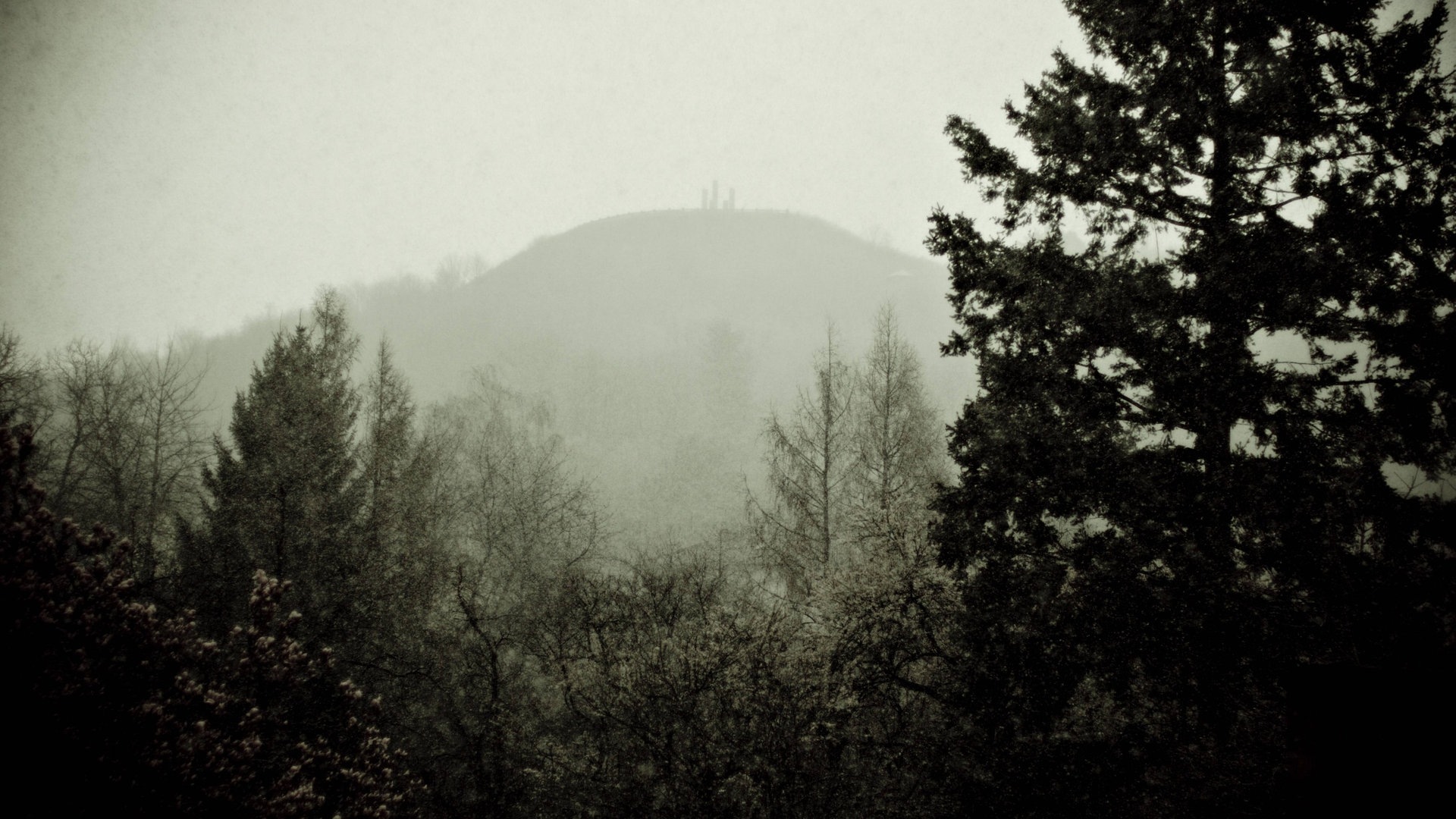Foto: IMAGO, IMAGO / Westend61 Der Wallberg thront im Nebel über Pforzheim. (Foto: IMAGO, IMAGO / Westend61)