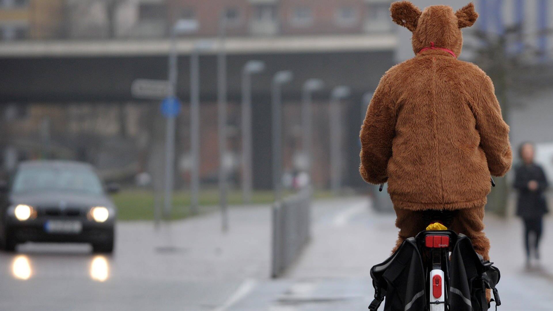 Im Teddybär-Kostüm auf dem Fahrrad unterwegs: Ist das erlaubt? (Foto: dpa Bildfunk,  Federico Gambarini)
