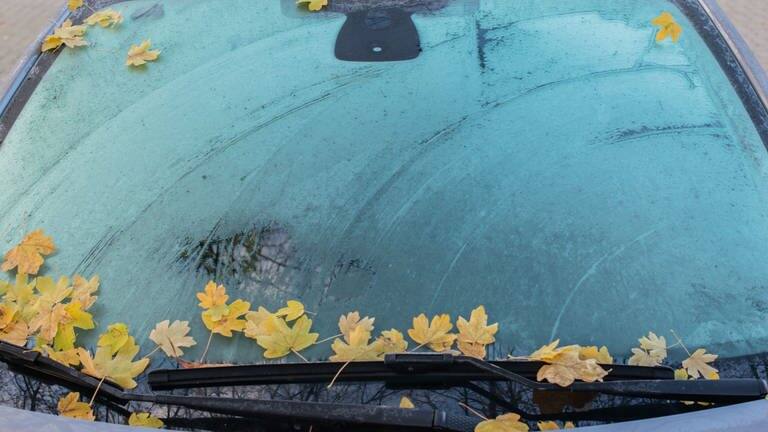 Herbstbild mit gelben Blättern auf der Frontscheibe des Autos und gefrorener Autoscheibe, die leicht mit einem Eiskratzer freigekratzt ist.