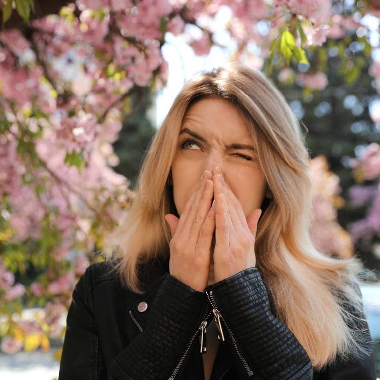 Frau hält sich wegen einer Pollenallergie und Heuschnupfen die Nase zu und schaut die Blüte der Bäume an