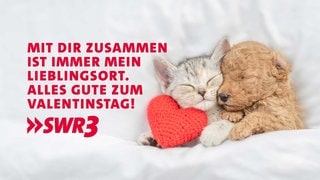 Lustige und schöne Whatsapp-Sprüche zum Valentinstag zum Verschicken (Foto: Adobe Stock, Ermolaev Alexandr) Lustige und schöne Whatsapp-Sprüche zum Valentinstag zum Verschicken