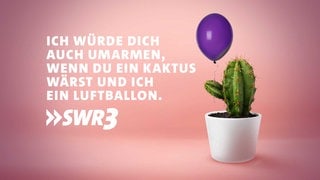 Lustige und schöne Whatsapp-Sprüche zum Valentinstag zum Verschicken (Foto: Adobe Stock, New Africa) Lustige und schöne Whatsapp-Sprüche zum Valentinstag zum Verschicken