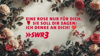 Lustige und schöne Whatsapp-Sprüche zum Valentinstag zum Verschicken (Foto: Adobe Stock, Prostock-studio, generiert mit KI) Lustige und schöne Whatsapp-Sprüche zum Valentinstag zum Verschicken