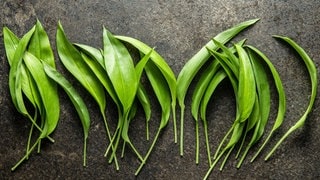 Bärlauch oder Maiglöckchen? Das sind die Unterschiede damit ihr die beiden Pflanzen beim Sammeln nicht verwechselt.