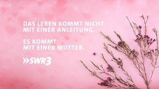 Lustige und schöne Whatsapp-Sprüche für Mama zum Muttertag. Auf Tafeln mit Blumen.