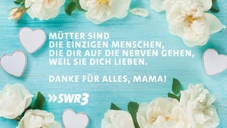 Lustige und schöne Whatsapp-Sprüche für Mama zum Muttertag. Auf Tafeln mit Blumen.