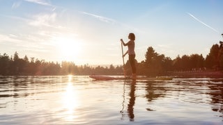Eine Frau steht auf einem Stand-Up-Paddle-Board und paddelt auf einem See vor einer Waldlandschaft im Sonnenaufgang. Stiftung Warentest hat 10 SUP-Boards getestet. 