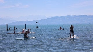 Stand-Up-Paddler am Bodensee. In Baden-Württemberg und Rheinland Pfalz gibt es wunderschöne Stand-Up-Paddle Routen. Stiftung Warentest hat 10 SUP-Boards getestet (Foto: dpa Bildfunk, picture alliance / johapress | johapress) Stand-Up-Paddler am Bodensee. In Baden-Württemberg und Rheinland Pfalz gibt es wunderschöne Stand-Up-Paddle Routen. Stiftung Warentest hat 10 SUP-Boards getestet