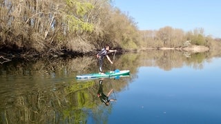 Ein Stand-Up-Paddler auf dem Kollersee, der Teil der Altrheinlandschaft ist. In Baden-Württemberg und Rheinland Pfalz gibt es wunderschöne Stand-Up-Paddle Routen. Stiftung Warentest hat 10 SUP-Boards getestet (Foto: SUPscout.de) Ein Stand-Up-Paddler auf dem Kollersee, der Teil der Altrheinlandschaft ist. In Baden-Württemberg und Rheinland Pfalz gibt es wunderschöne Stand-Up-Paddle Routen. Stiftung Warentest hat 10 SUP-Boards getestet