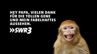 Lustige Bilder mit Whatsapp-Sprüchen zum Vatertag, die du an Papa verschicken kannst.