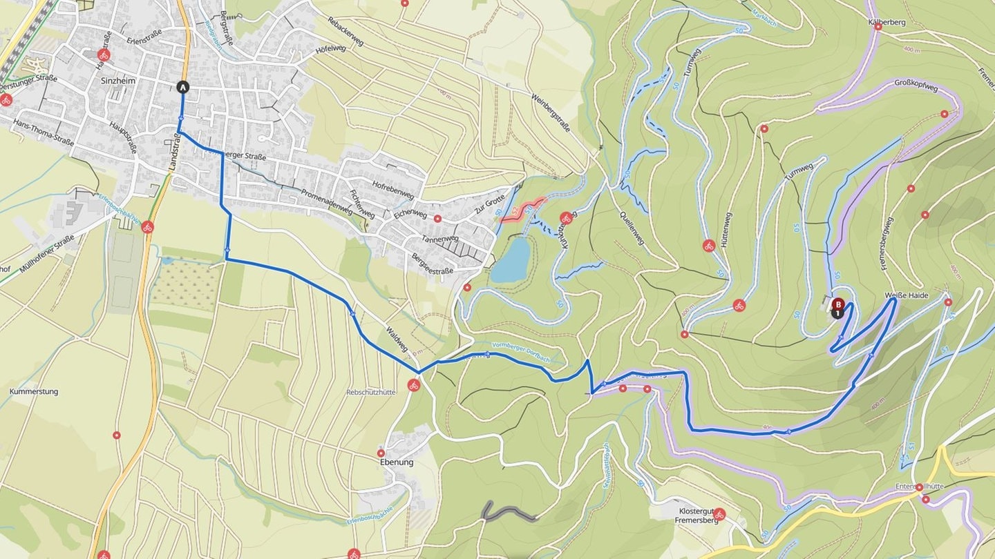 Fahrradnavi im Test (Foto: SWR3)