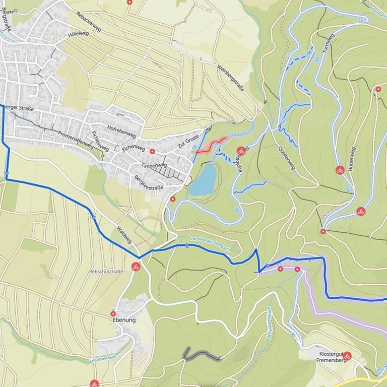 Fahrradnavi im Test (Foto: SWR3)