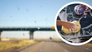 Eine schmutzige Windschutzscheibe mit toten Insekten und Vogelkot.