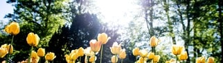 Hier knackt SWR3Land die 30-Grad-Marke