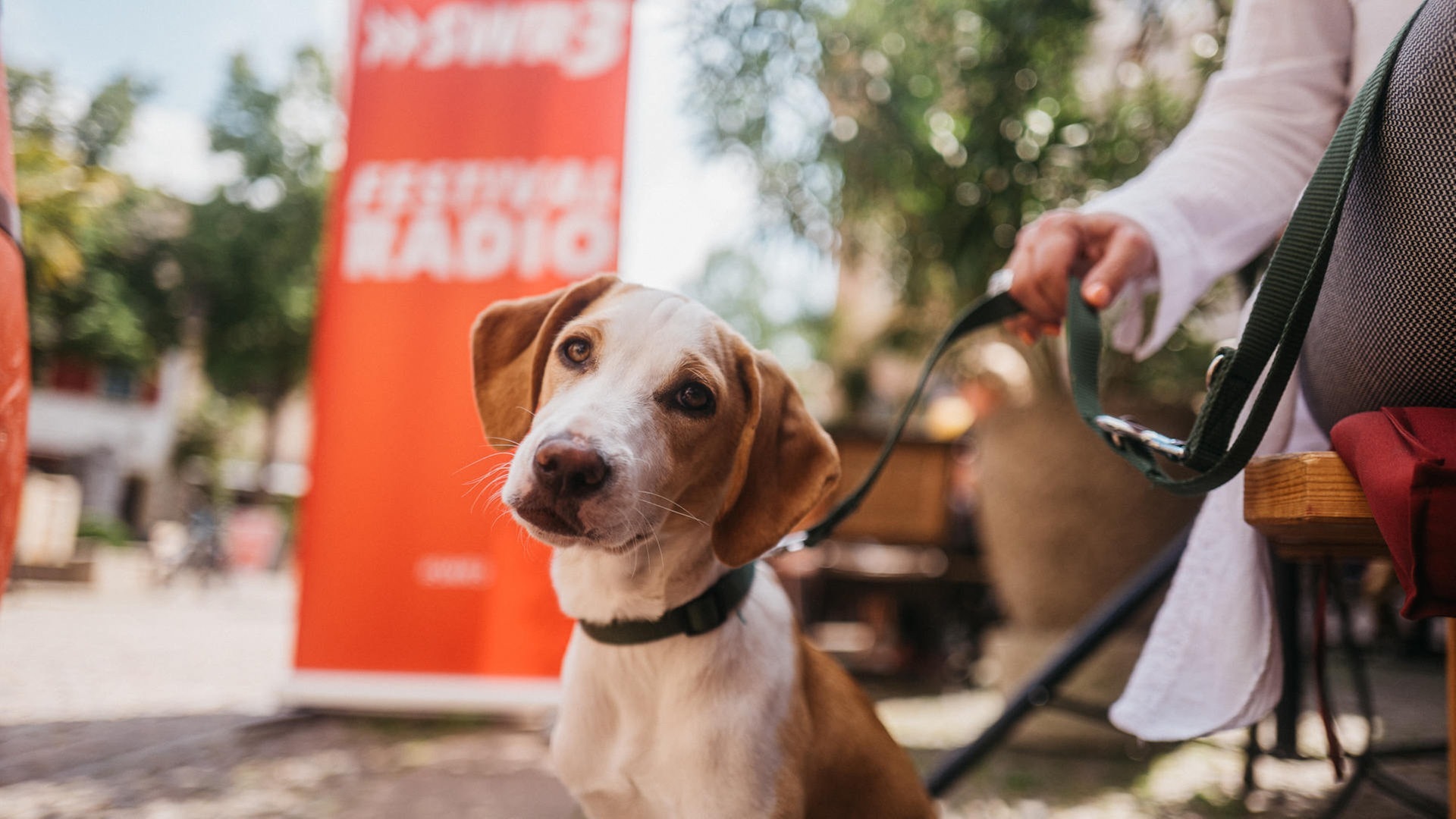 Foto: SWR3 Hennes Bender beim SWR3 Comedy Festival 2019 (Foto: SWR3)