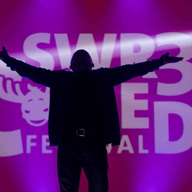 Bernhard Hoëcker beim SWR3 Comedy Festival 2019 (Foto: SWR3)