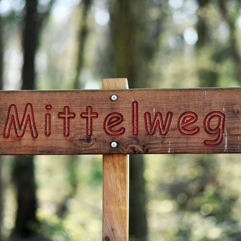 Ein Holzschild auf dem das Wort Mittelweg steht (Foto: picture-alliance / Reportdienste, picture alliance / Zoonar | Firn)