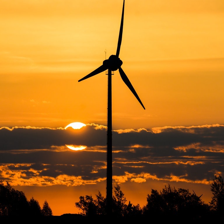 Lehmanns Leben: Energiewende (Foto: picture-alliance / Reportdienste, Julian Stratenschulte)