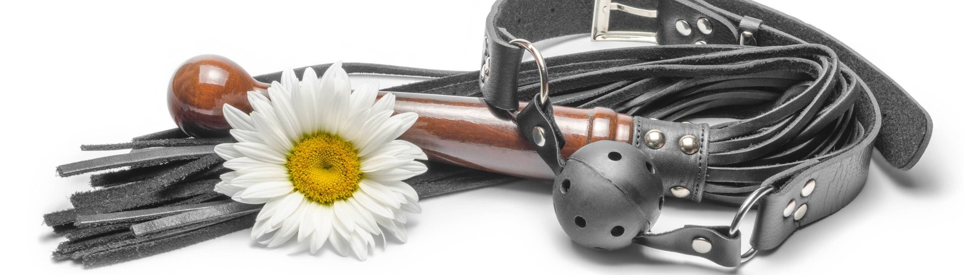 Schwarze Lederpeistsche, Mundplöppel und ein Gänseblümchen: Symbolfoto für Erotik-Spielformen im Bereich Sado Maso, Bondage, Fetisch (Foto: IMAGO, IMAGO / Zoonar)
