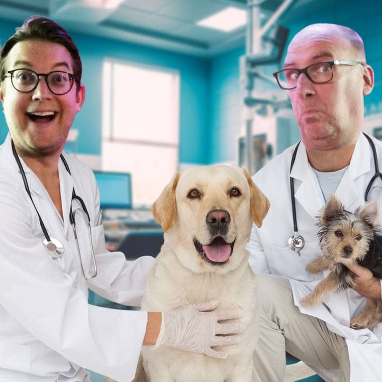 Bildcollage der SWR3-Comedy „Die Tierdocs“. Dr. Hart (Andreas Müller) und Dr. Zart (Steffen Auer) stehen in einer Tierarztpraxis mit zwei Hunden und lachen in die Kamera. (Foto: Adobe Stock, Adobe Stock | Ramon, Montage: SWR3)