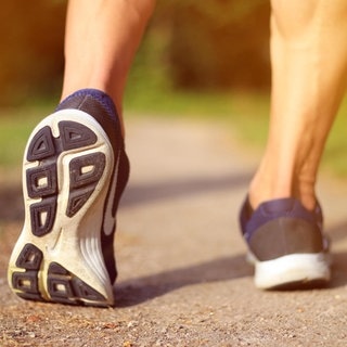 Lehmanns Leben: Sport