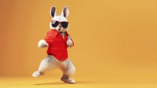 Animierter Osterhase mit rotem Shirt und roter Sonnenbrille hüpft den lustigen Ostersound auf orangenem Hintergrund 