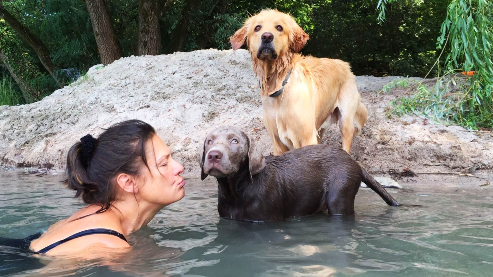 Foto: Privat Steffi Tücking und ihre Hunde (Foto: Privat)
