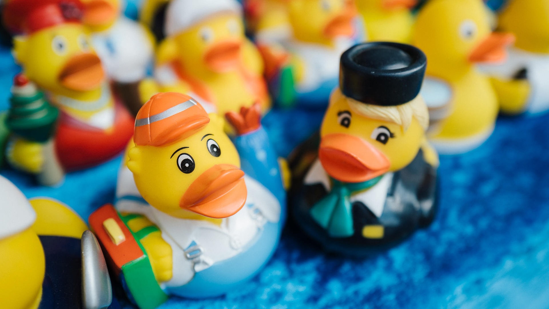 Foto: Niko Neithardt Enten, Einhörner und ihr (Foto: Niko Neithardt)
