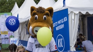 Tag 2 bei Das Fest