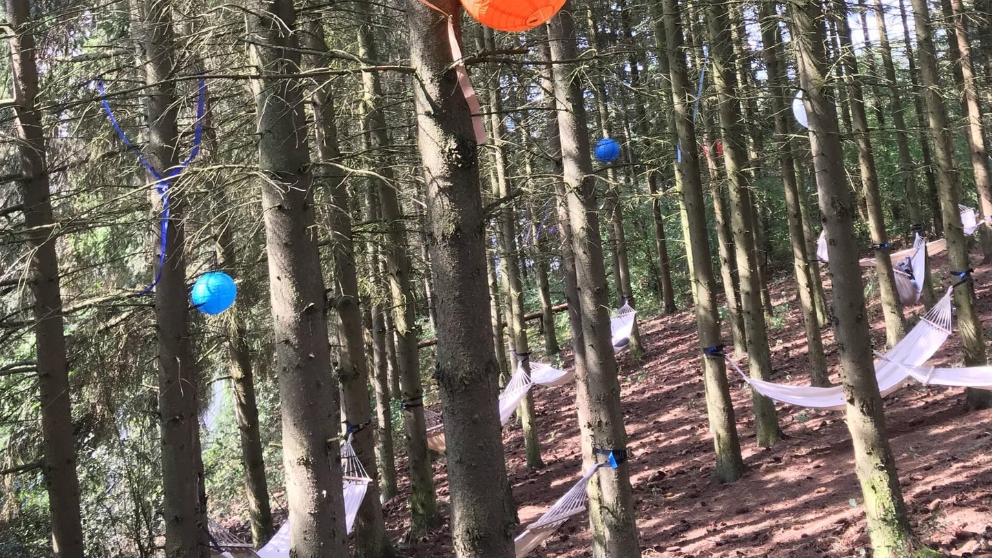 Foto: SWR Hängematten (Foto: SWR)