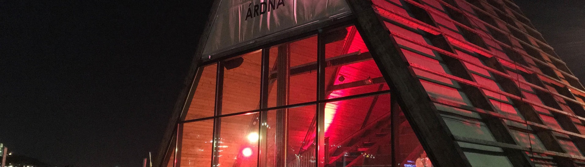Action Bar: Salt Sauna in Oslo (Foto: SWR3)