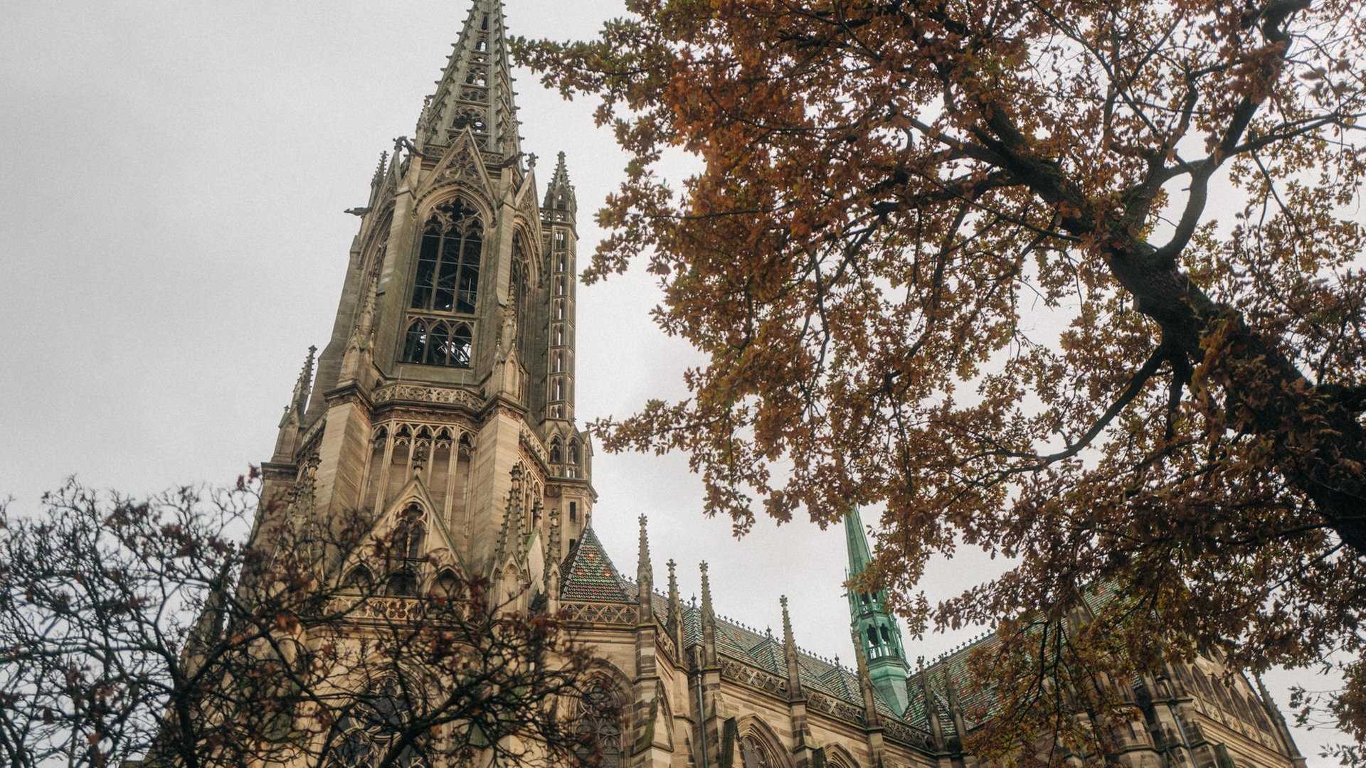 Foto: SWR3 Die Toten Hosen in der Gedächtniskirche in Speyer (Foto: SWR3)
