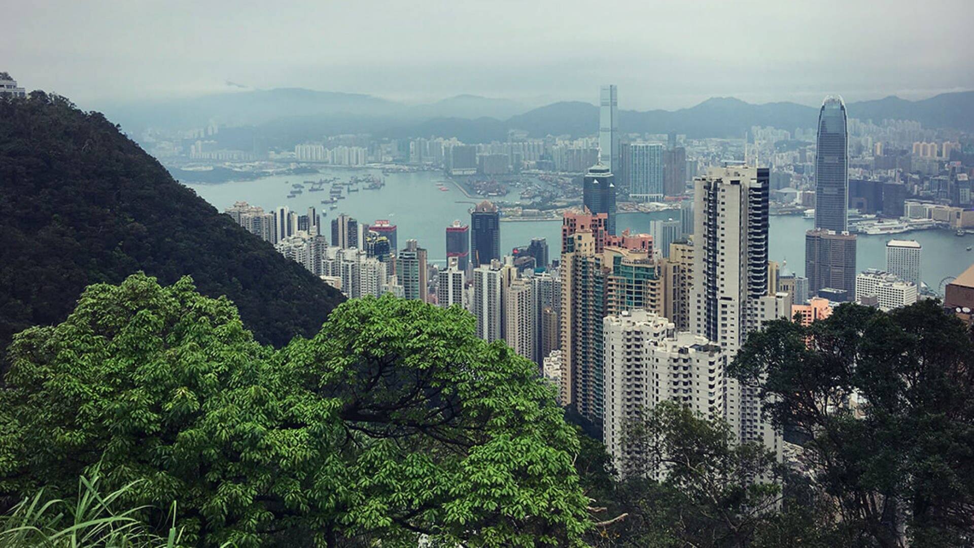 Hongkong: die Stadt (Foto: SWR3)