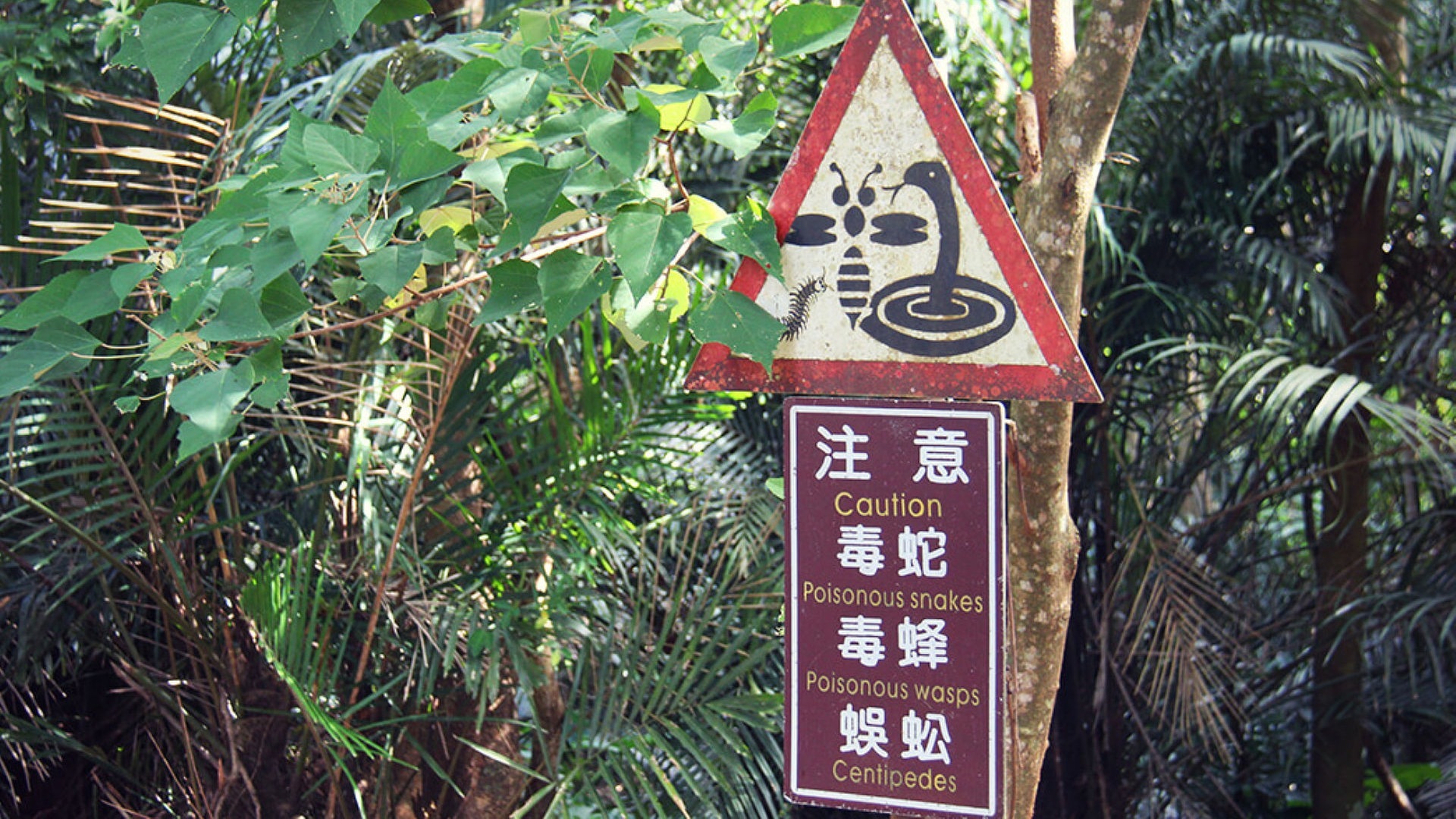 Foto: SWR3 Taiwan: die Natur (Foto: SWR3)
