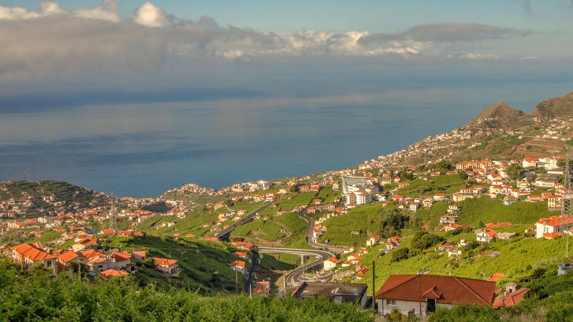 Madeira Vorabtrip (Foto: SWR | Patrick Schütz)