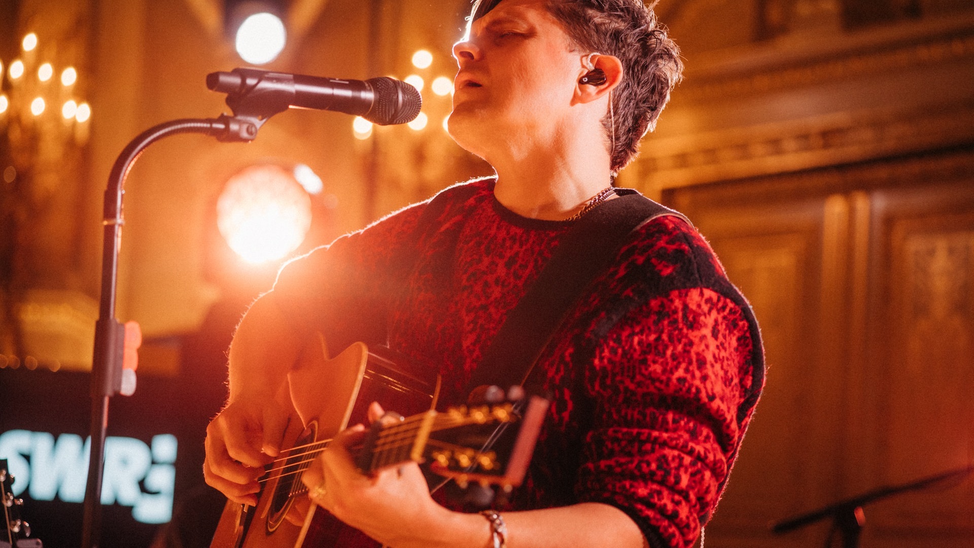 Foto: SWR3, DNA-Collective/Niko Neithardt Das SWR3 Weihnachtskonzert mit Michael Patrick Kelly (Foto: SWR3, DNA-Collective/Niko Neithardt)