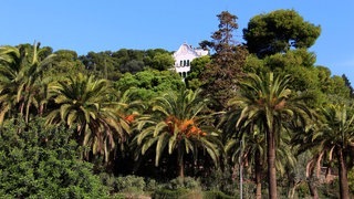 Barcelona (Foto: SWR3) Barcelona