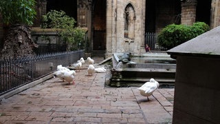 Barcelona (Foto: SWR3) Barcelona