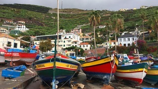 So schön ist Madeira (Foto: SWR3) So schön ist Madeira