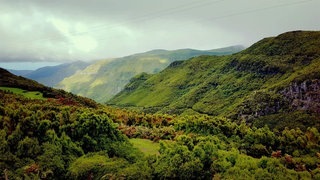 So schön ist Madeira (Foto: SWR3) So schön ist Madeira