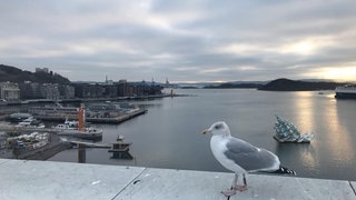 Blick von der Oper in Oslo (Foto: SWR3) Blick von der Oper in Oslo