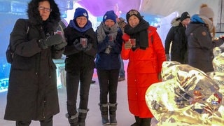 SWR3-Gewinner in Kanada - Elch und weg Québec