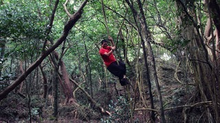 Taiwan: die Natur (Foto: SWR3) Taiwan: die Natur